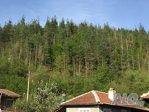 image_9