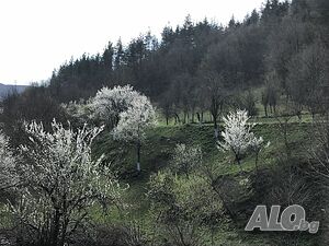 image_6