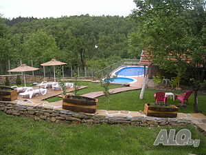 image_22