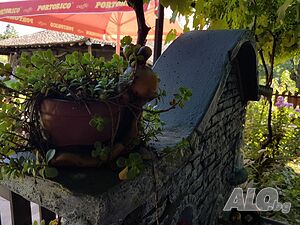 image_12