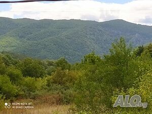 image_15
