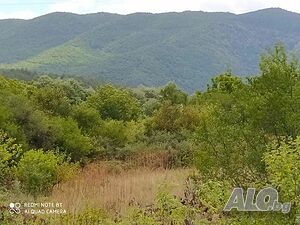 image_14