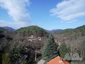 image_12