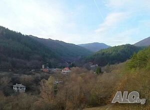 image_11