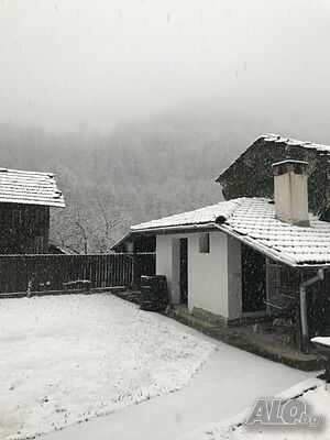 image_22