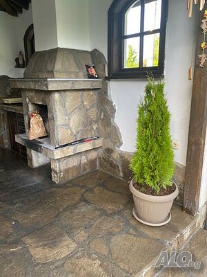 image_33