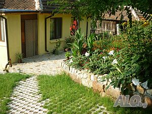 image_31