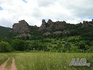 image_19