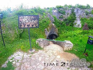 image_22