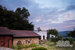 image_33