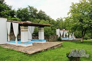 image_50