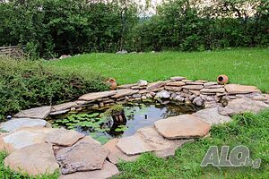 image_11