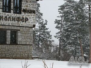 image_36