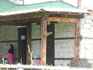 image_41