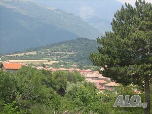 image_3