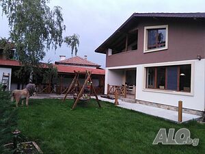 image_5