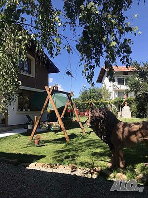 image_6
