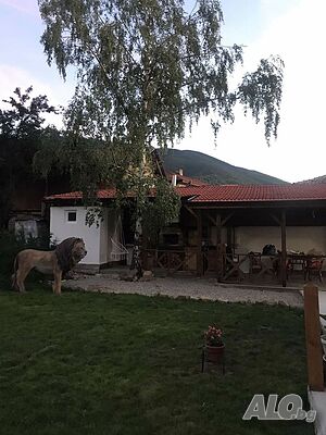 image_12