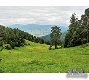 image_46