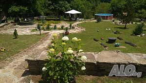 image_11
