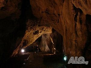 image_24