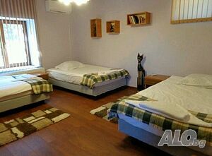 image_11