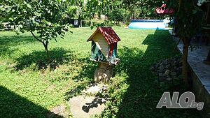 image_9