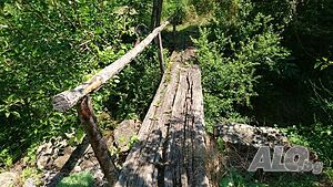 image_11