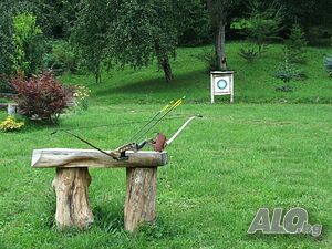image_11