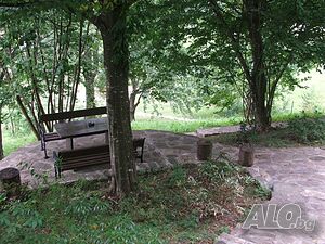 image_21