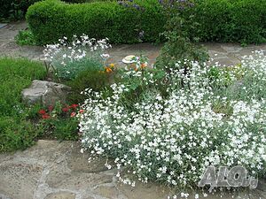 image_23