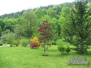 image_27