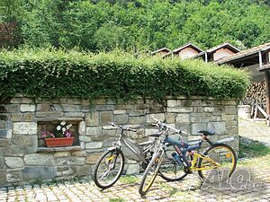 image_29