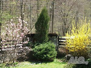image_30