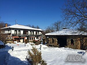 image_42