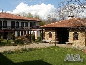 image_5