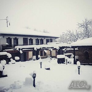 image_41