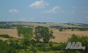 image_14