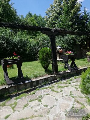 image_19