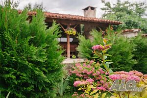 image_30