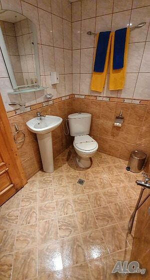 image_19