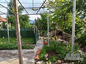 image_10