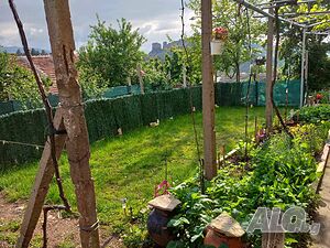 image_11