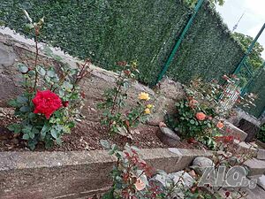 image_15