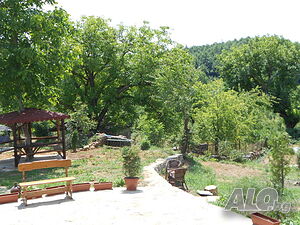 image_11