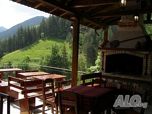 image_12