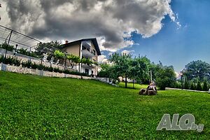 image_5