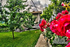 image_11