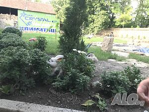 image_26