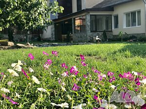 image_19
